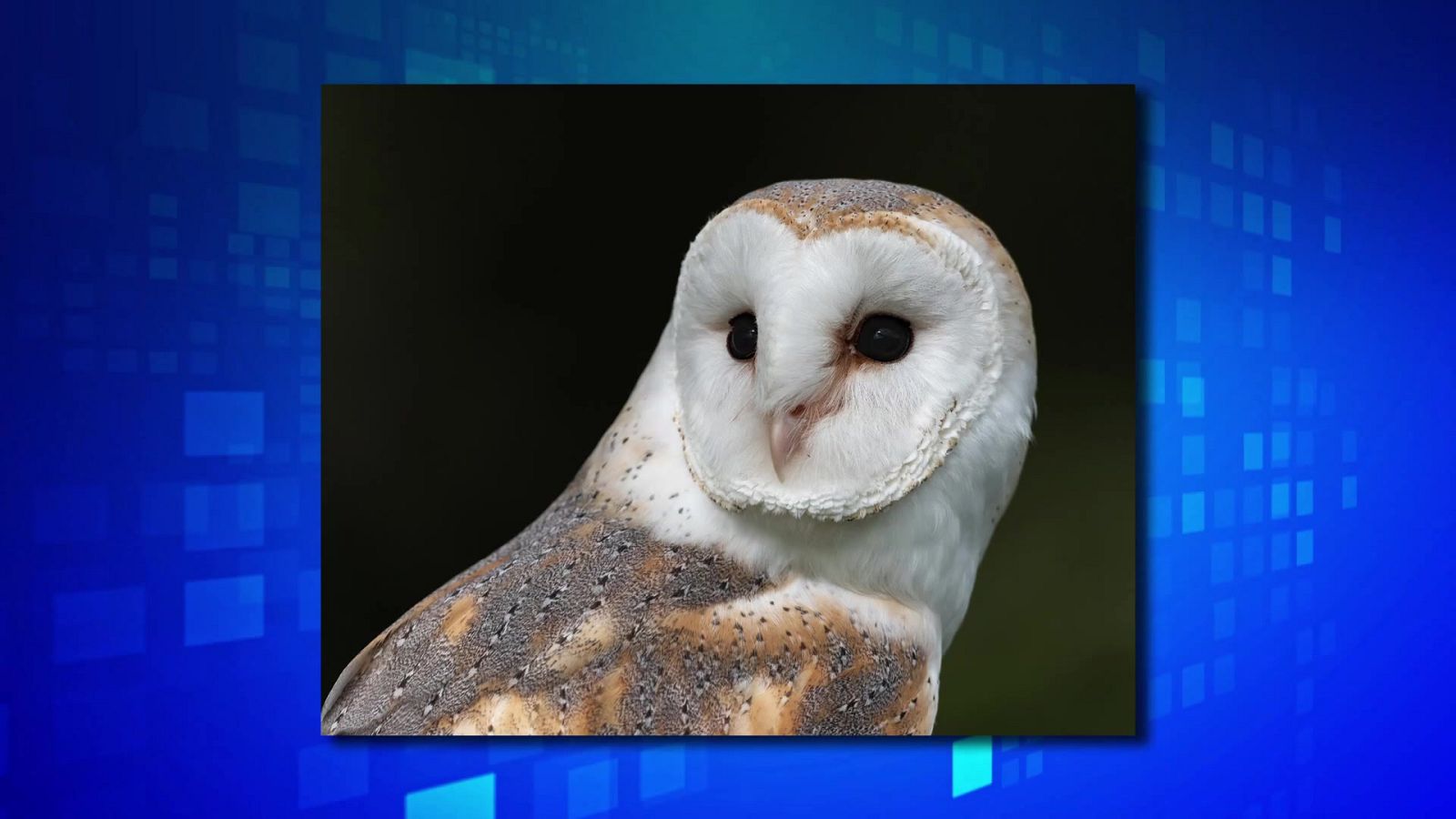 Saber y ganar - 11/04/23 - ver ahora