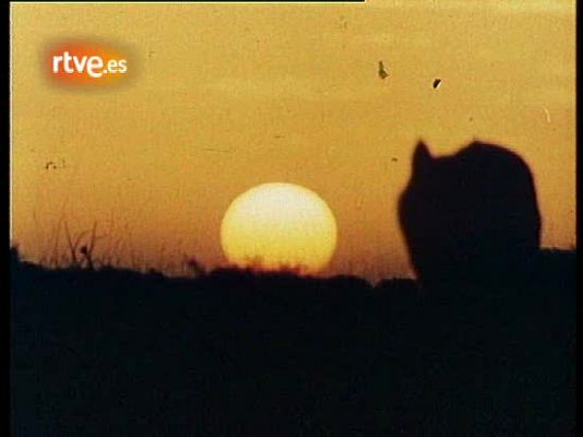 El hombre y la Tierra - El lobo