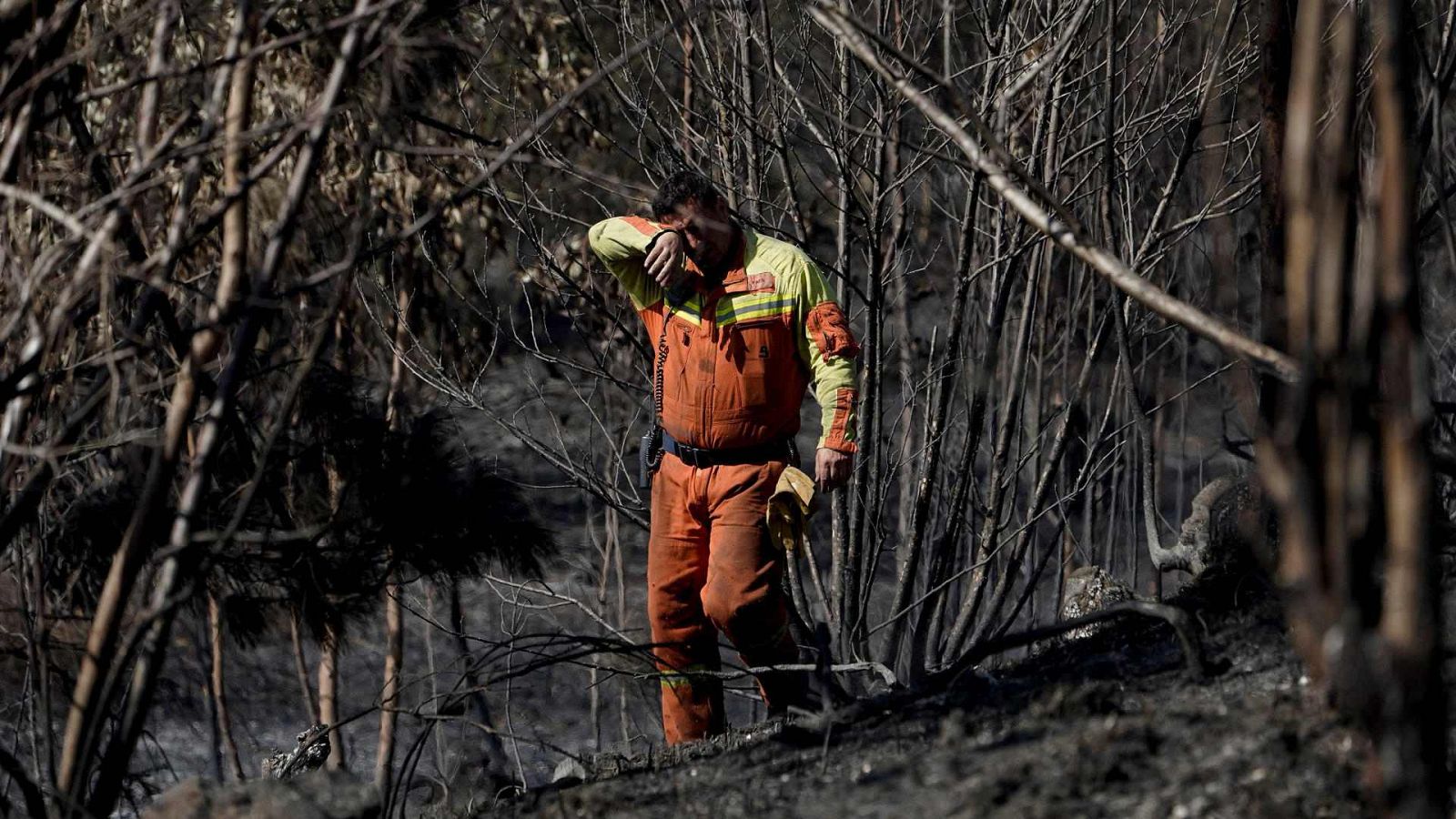 Telediario - 8 horas - 12/04/23 - ver ahora