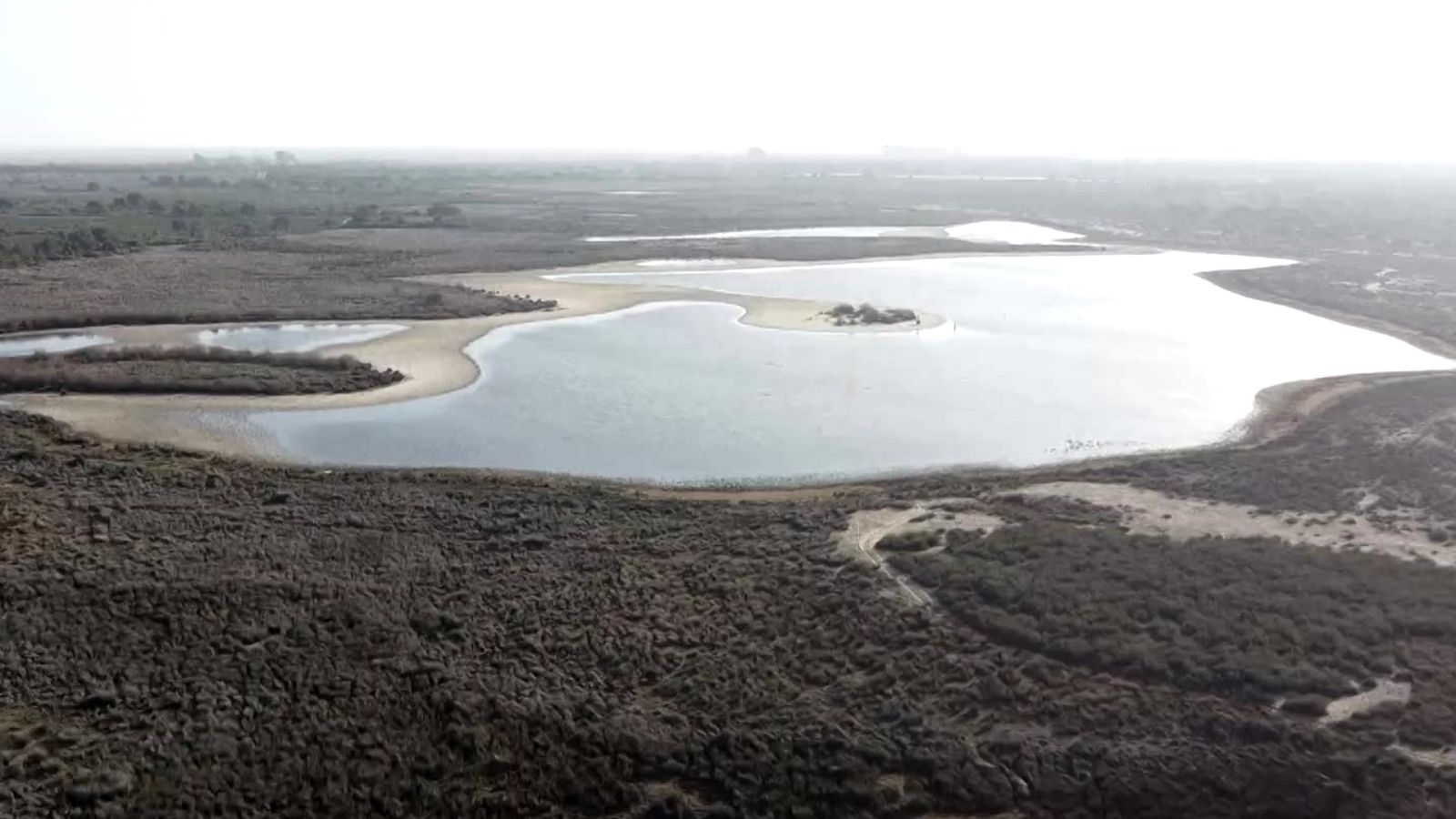 Diario 24 - 12/04/23 - ver ahora