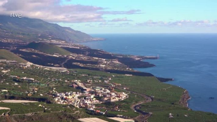 El escarabajo verde - Avance 'Resurgir de las cenizas'