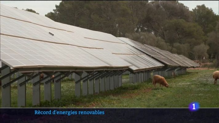 Informatiu Balear - Informatiu Balear 1 - 13/04/23