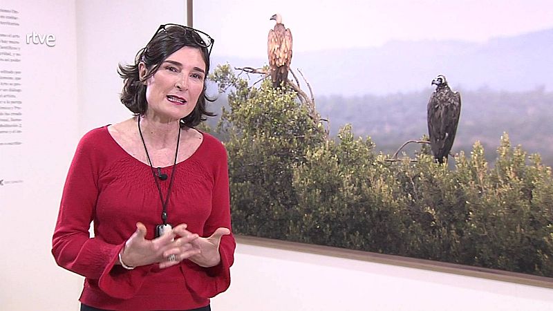 AMPARO GARRIDO EN CNIO ARTE - Atención obras | Ver