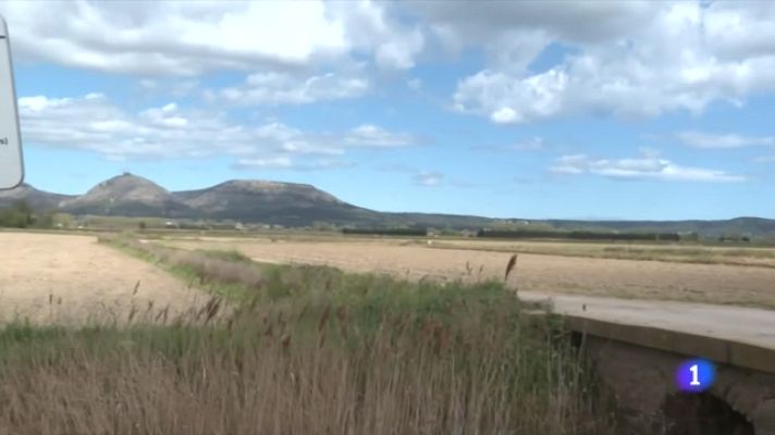 L'Informatiu - L'arròs de Pals, sota mínims