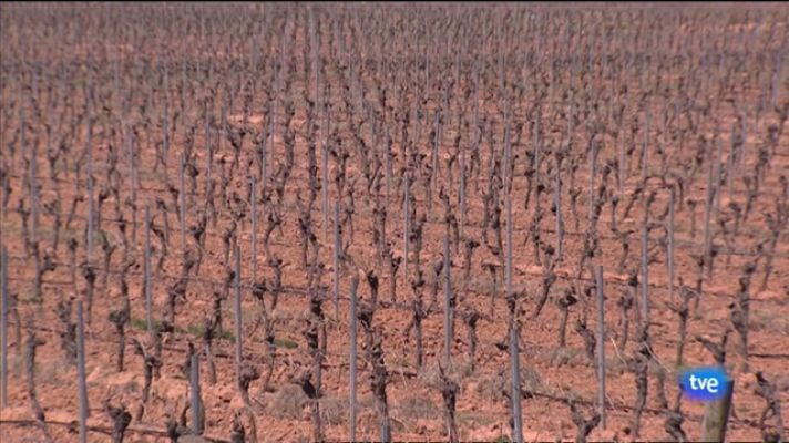 L'informatiu - Comunitat Valenciana - L'Informatiu Comunitat Valenciana 1 - 14/04/23