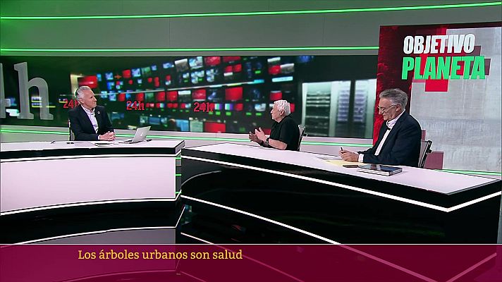 Objetivo Planeta - Los árboles urbanos son salud