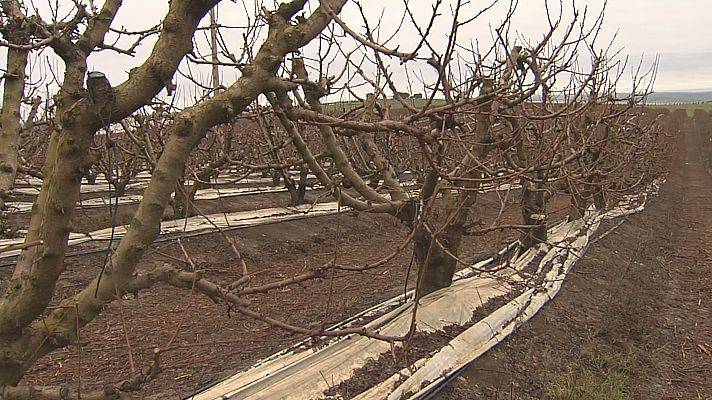 Agrosfera - Agrosfera - 15/04/23