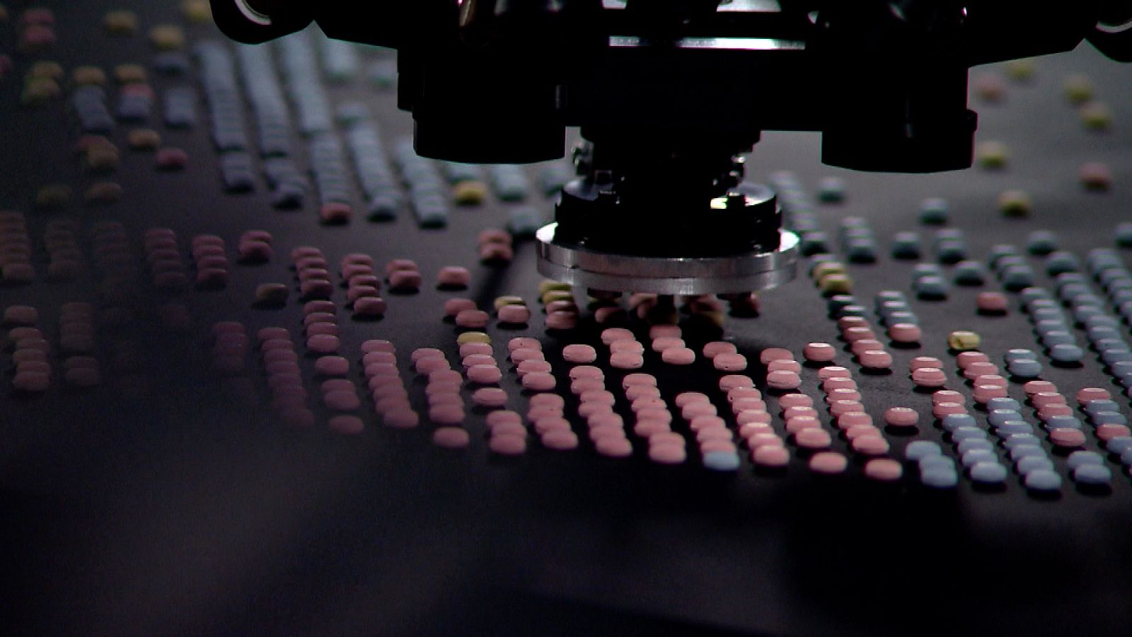 Zoom Net - Canal Connect, Curse Of The Sea Rats y Rentik - ver ahora