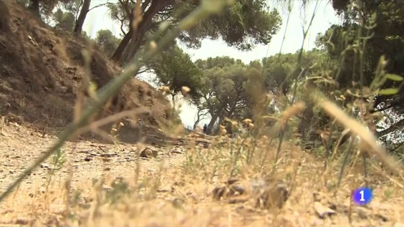 Ajornada la reobertura de Sant Miquel del Fai