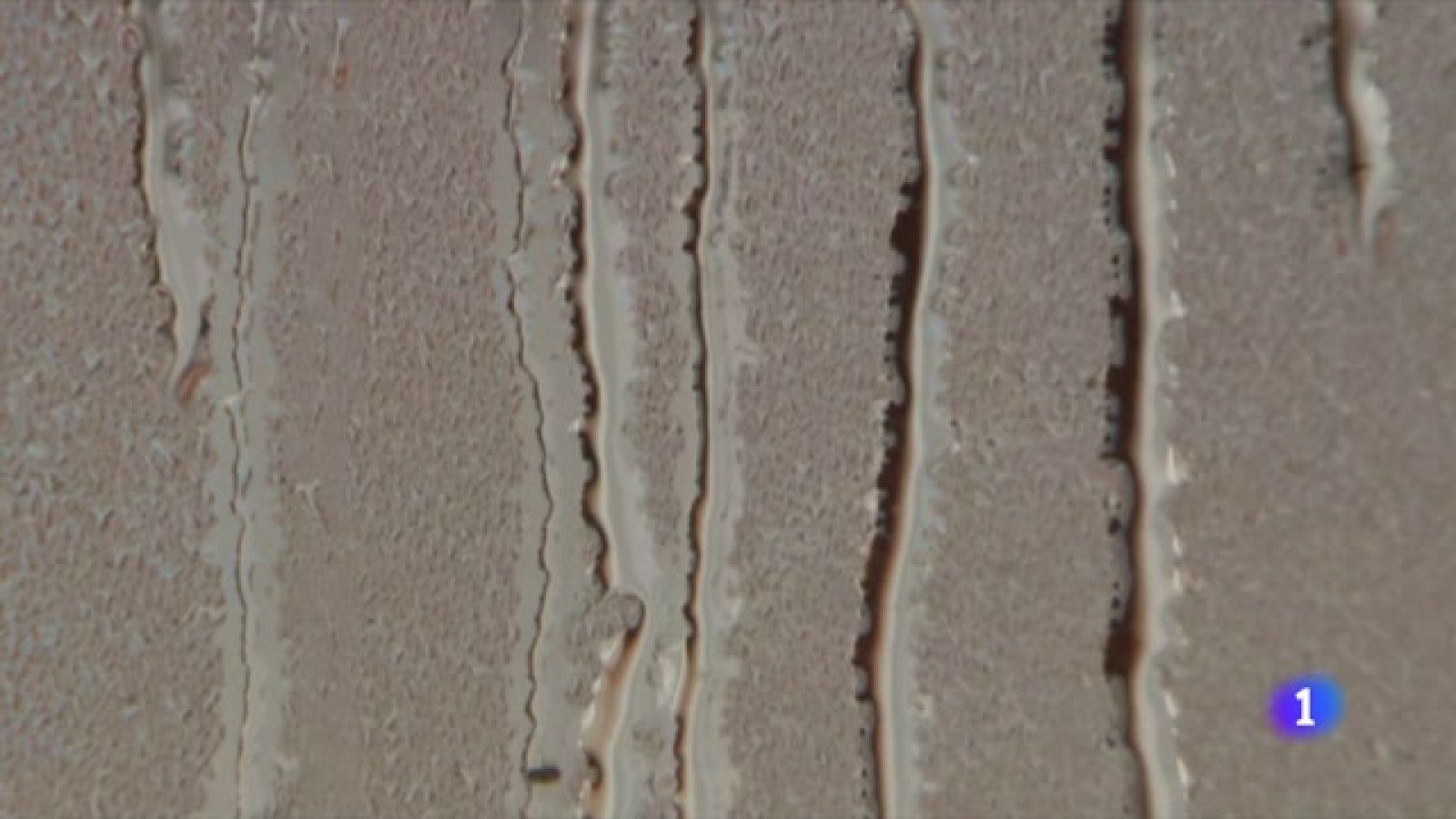 España, líder del consumo mundial de benzodiacepinas -Ver ahora