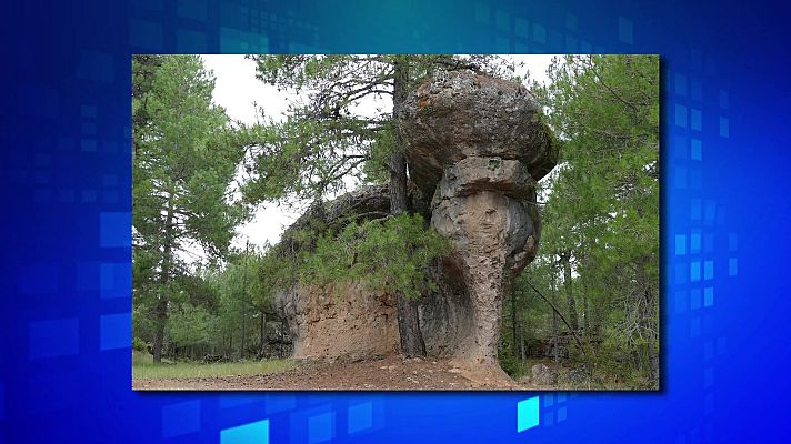 Saber y ganar - Saber y ganar. Edición de fin de semana - 15/04/23