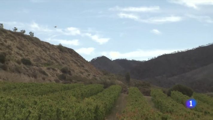 L'Informatiu - L'incendi de la Franja, en vies de control