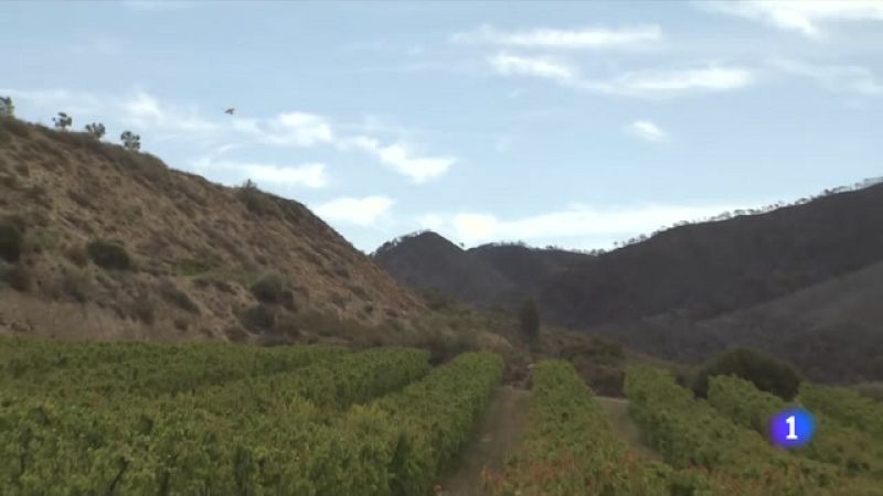 L'incendi de la Franja, en vies de control