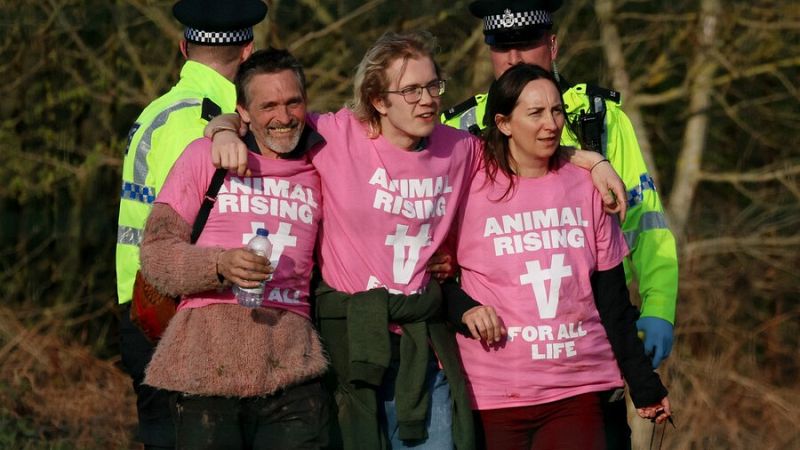 Grand National: 118 detenidos en las protestas animalistas | Ver