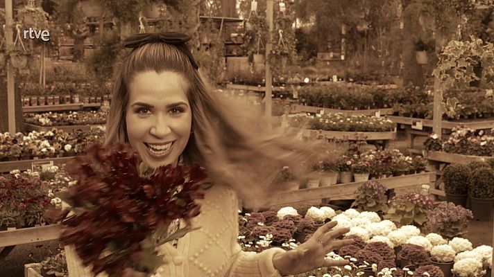 Va de verd - El llenguatge de les flors