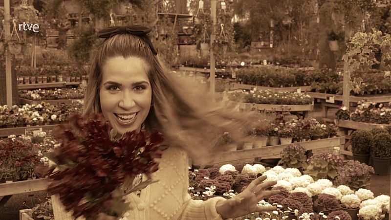 Va de Verd - El llenguatge de les flors