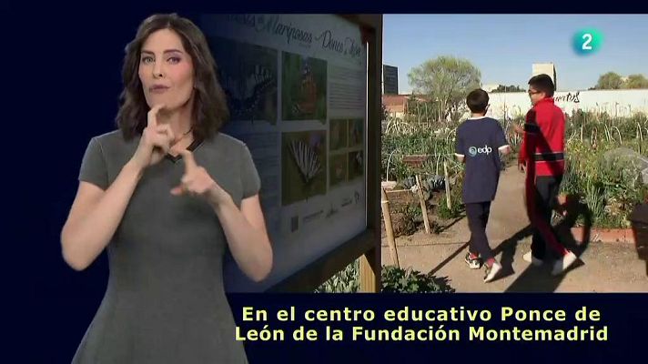 En lengua de signos - Colegio Ponce de León, ejemplo de inclusión y sostenibilidad