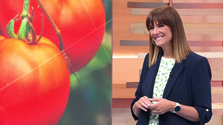 Ahora o nunca - Ahora o nunca - Programa 60