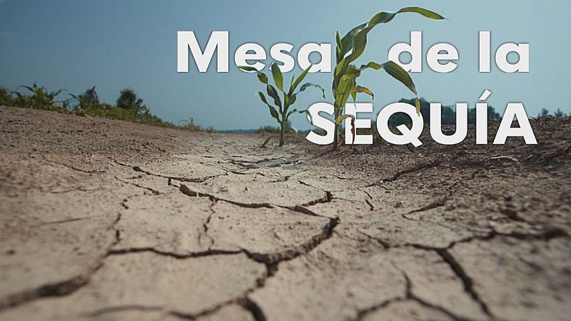 La Junta de Andalucía aprobará tercer decreto de sequía - Ver ahora