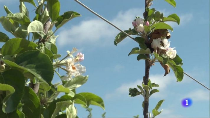 Informativo Telerioja - Informativo Telerioja  - 19/04/23