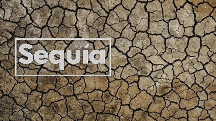 Noticias Andalucía - La sequía castiga al campo como nunca