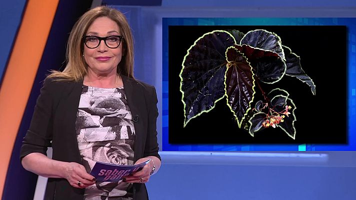 Saber y ganar - Saber y ganar - 19/04/23