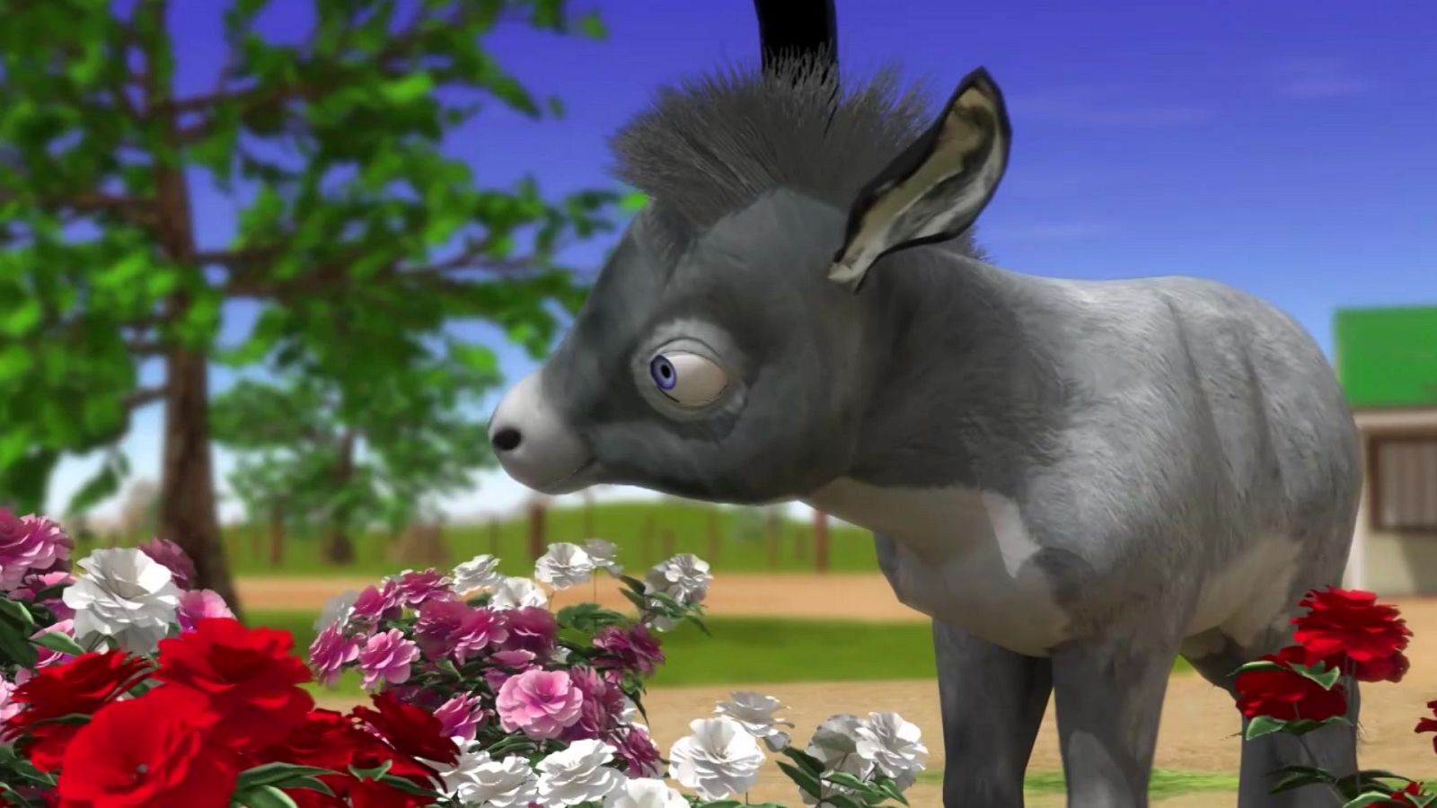 La granja de Zenón - Había un burrito - El Reino Infantil | Ver