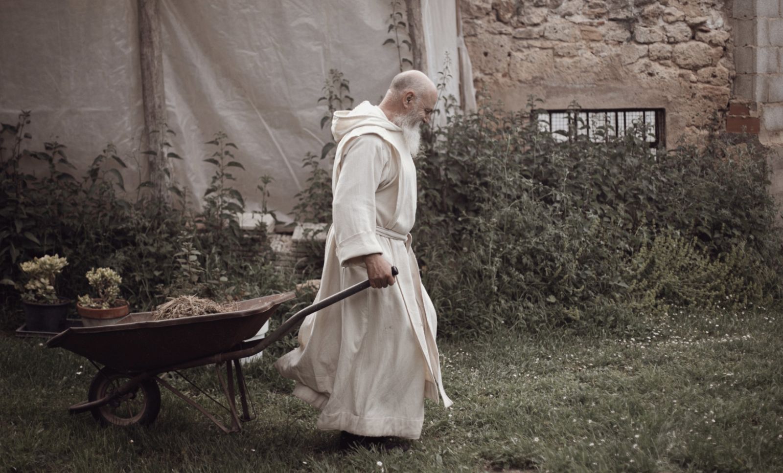 Días de Cine: Libres. | Ver