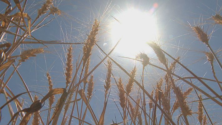 Agrosfera - Agrosfera - 22/04/23