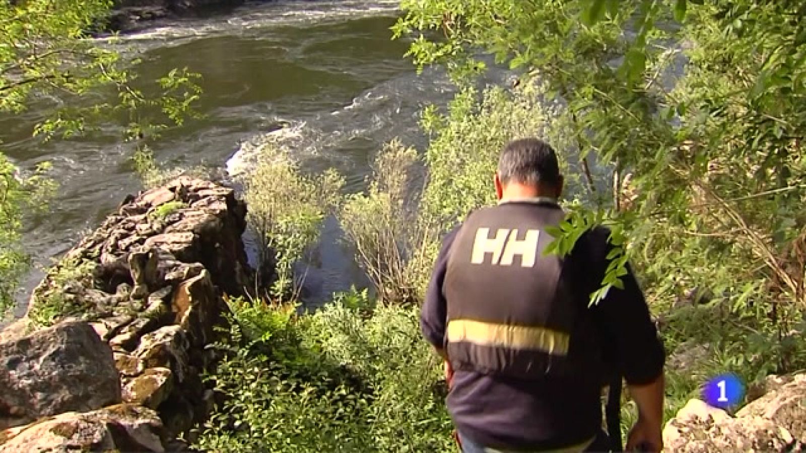 Temporada de lamprea, el pez más primitivo del mundo -Ver ahora