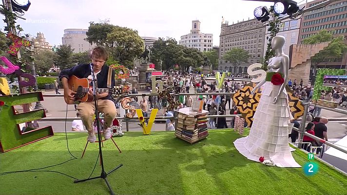 Punts de vista - Programa especial de Sant Jordi