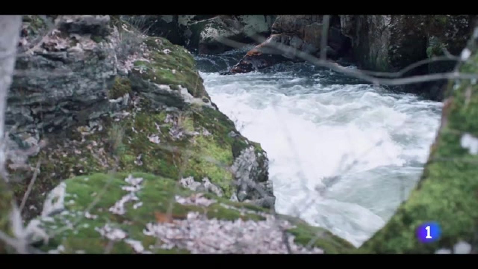 '4 estrellas': se estrena la nueva serie diaria de La 1 -Ver ahora