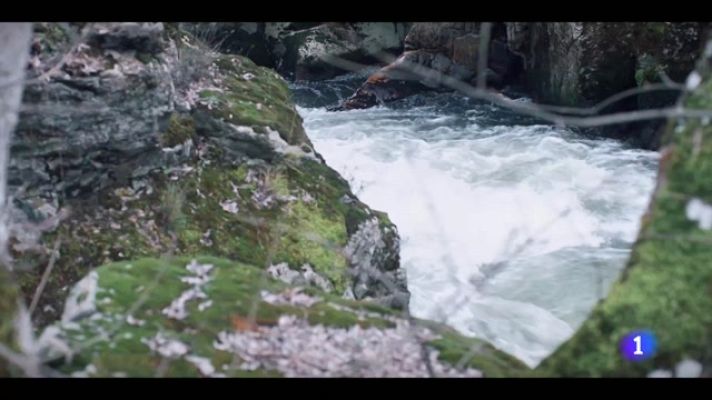 Telediario Fin de Semana - '4 estrellas': se estrena la nueva serie diaria de La 1