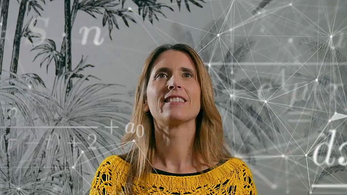 Una matemática viene a verte - Matemáticas en tiempos de pandemia