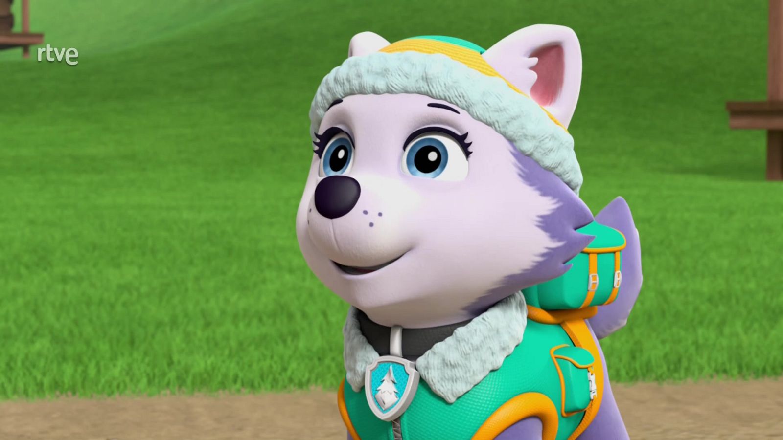 El libromovil - La patrulla canina | Ver