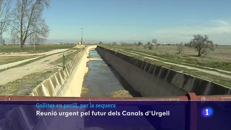 La taula agrària es reuneix per abordar les conseqüències de la sequera