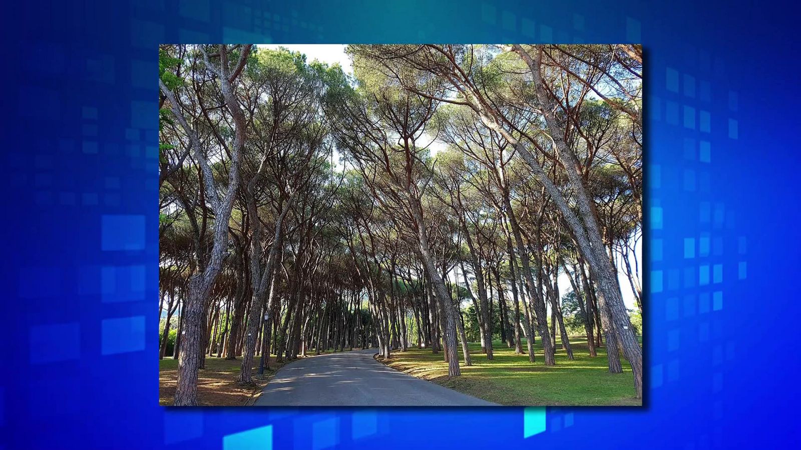 Saber y ganar. Edición de fin de semana - 29/04/23 - ver ahora