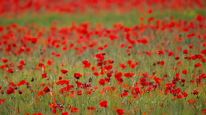 El tiempo - Subida de temperaturas y cielo poco nuboso salvo en zonas del norte