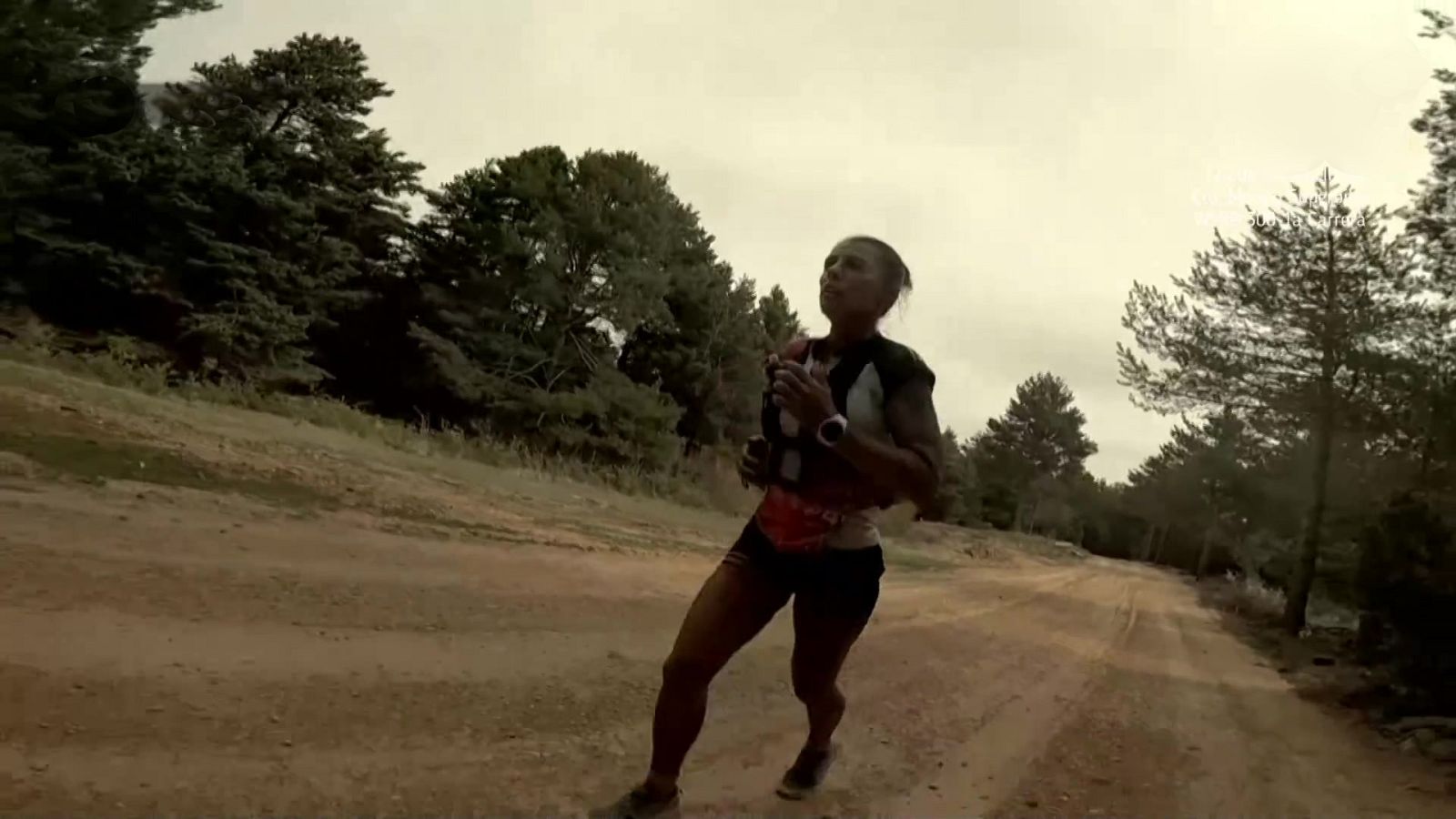 Trail - Penyagolosa Trail - ver ahora