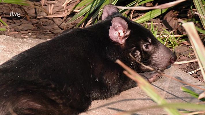 Aquí la Tierra - Aquí la Tierra - 25/04/23