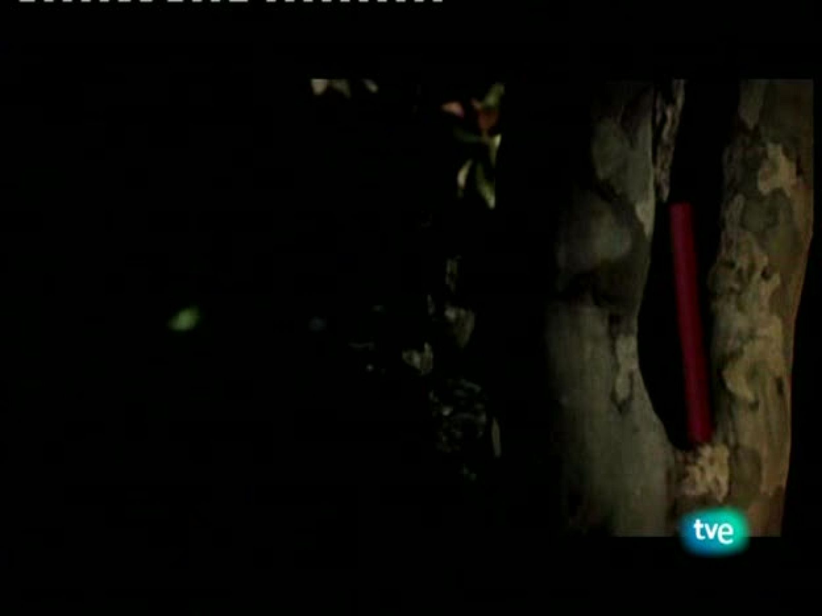 Página 2 - Per Petterson. - Página Dos | Ver