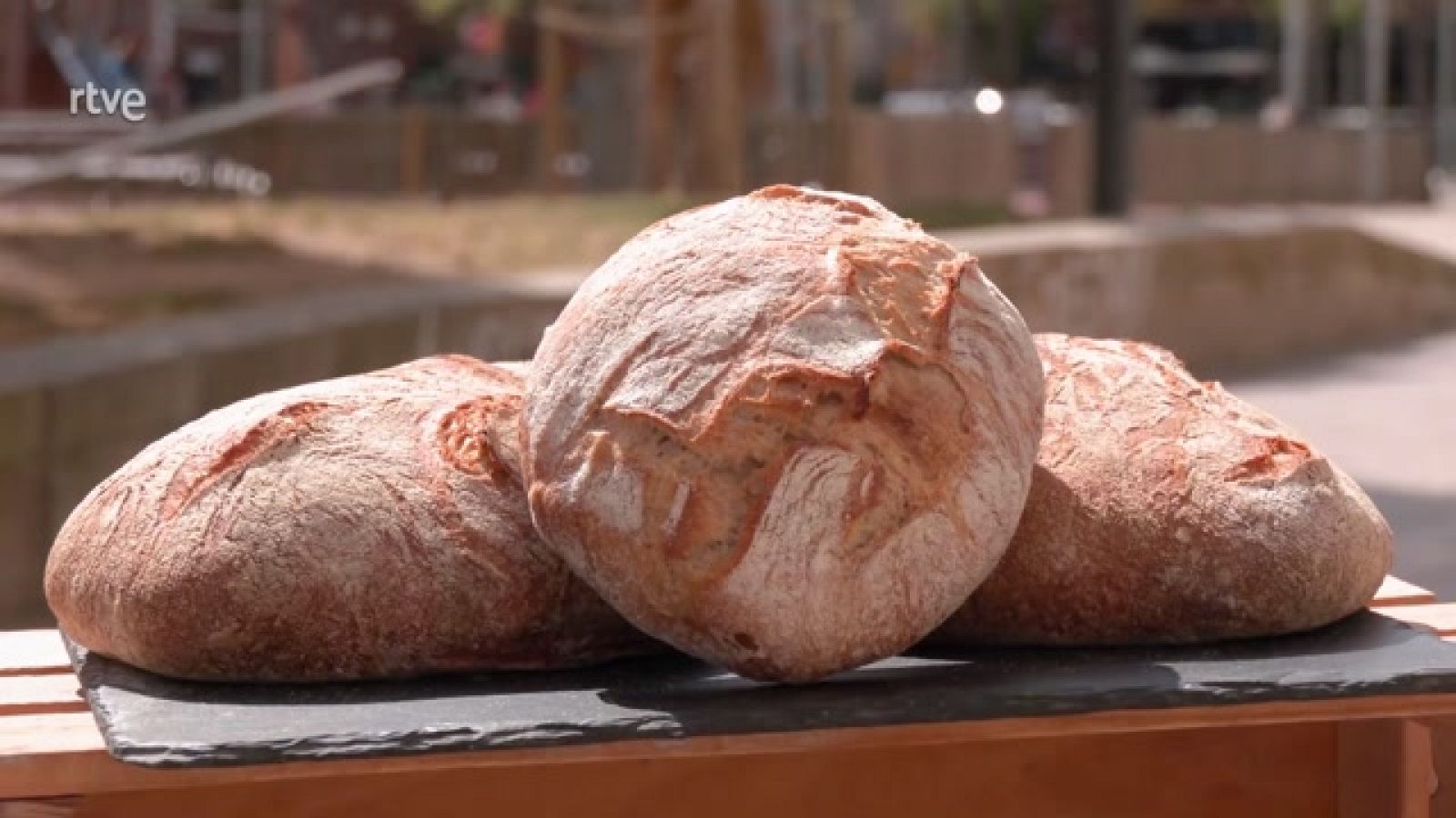 ¿Cómo hacer un pan de payés? - Ahora o nunca | Ver