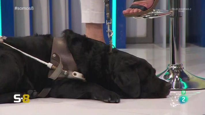 Somos 8 - Somos 8 - 26/04/2023