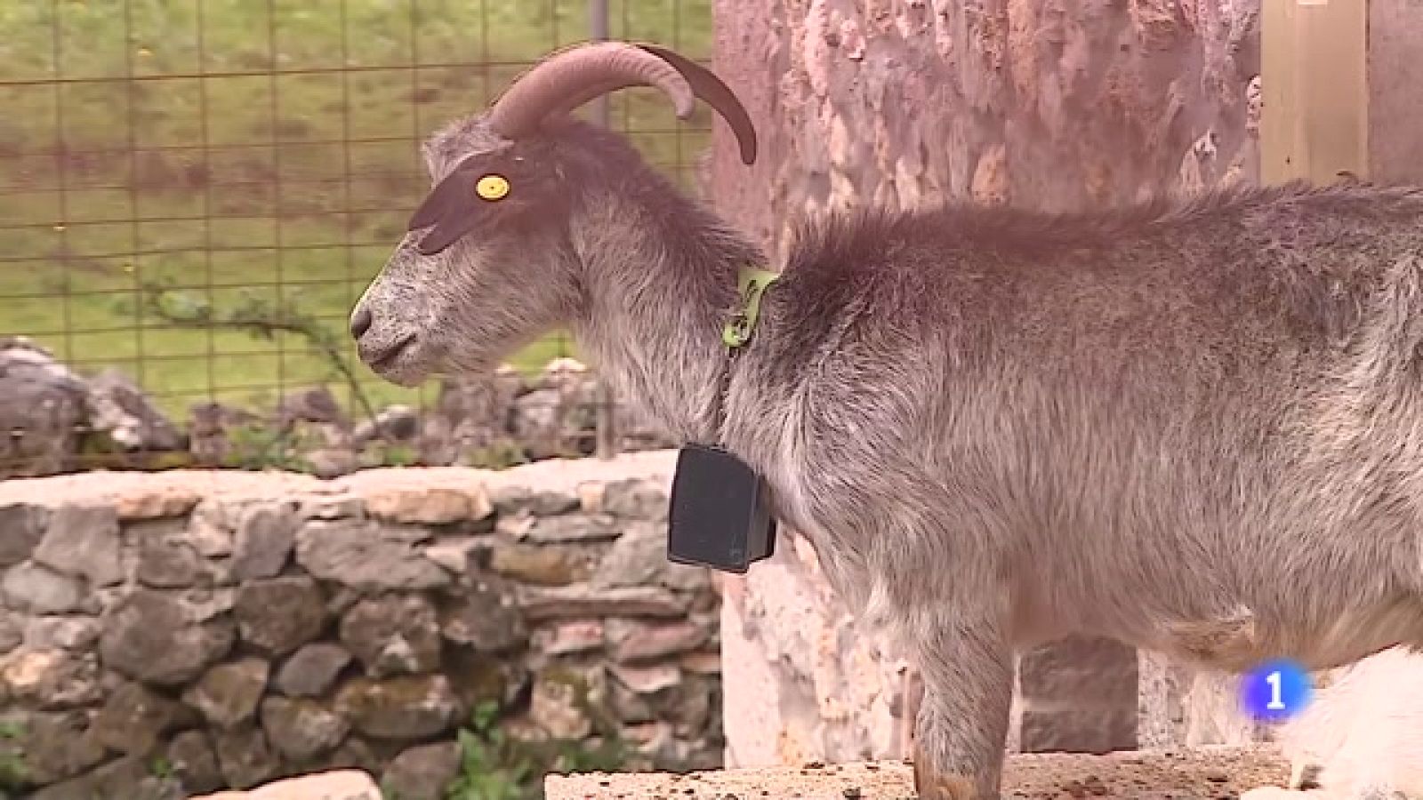 Asturias en 2' - 27/04/2023 - Ver ahora