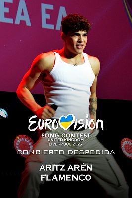 Eurovisión - Aritz Arén canta 'Flamenco'