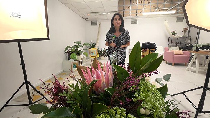 Va de verd - Com fotografiar les plantes