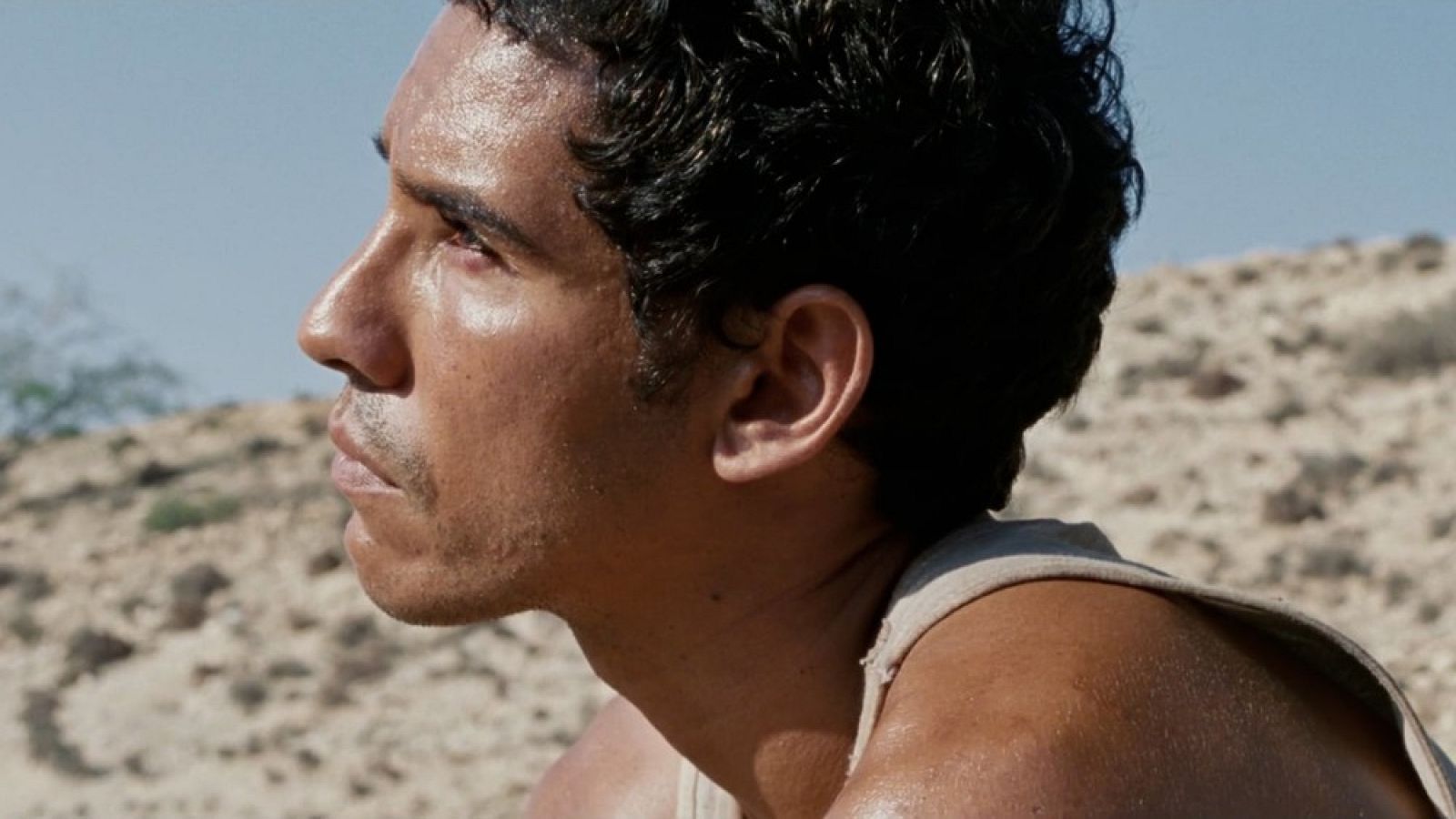 Días de Cine: Harka. | Ver