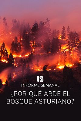 Informe Semanal - ¿Por qué arde el bosque asturiano?