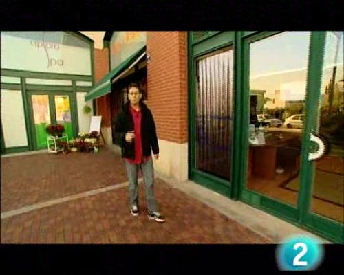 Palabra por palabra - Reportaje perros