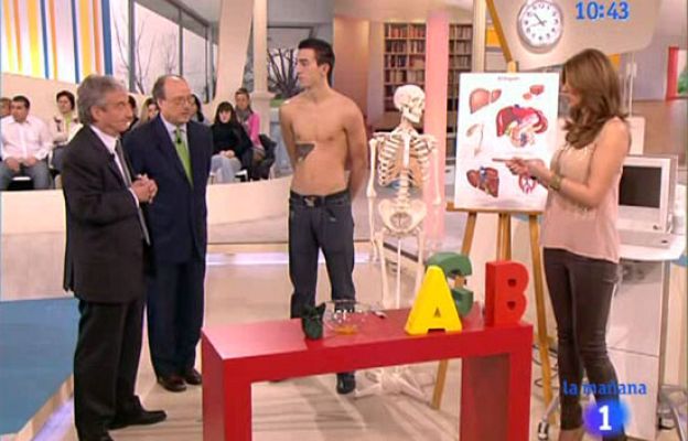 La mañana - El hígado y la vesícula